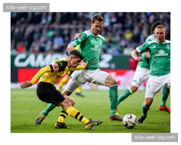 多特蒙德胜率65.5% 稳定性优于多数竞争对手